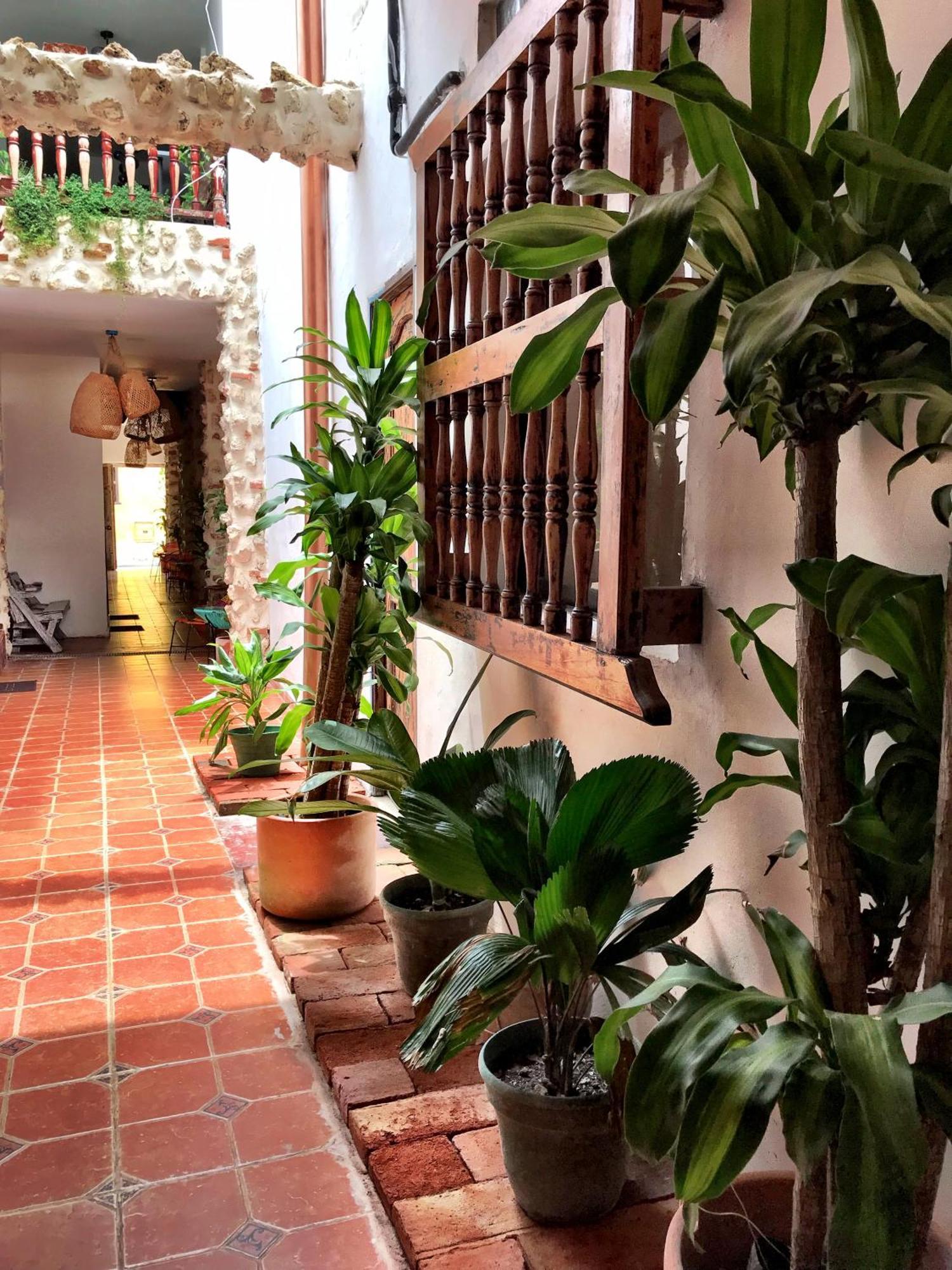 Pachamama Hostel Cartagena Exteriör bild